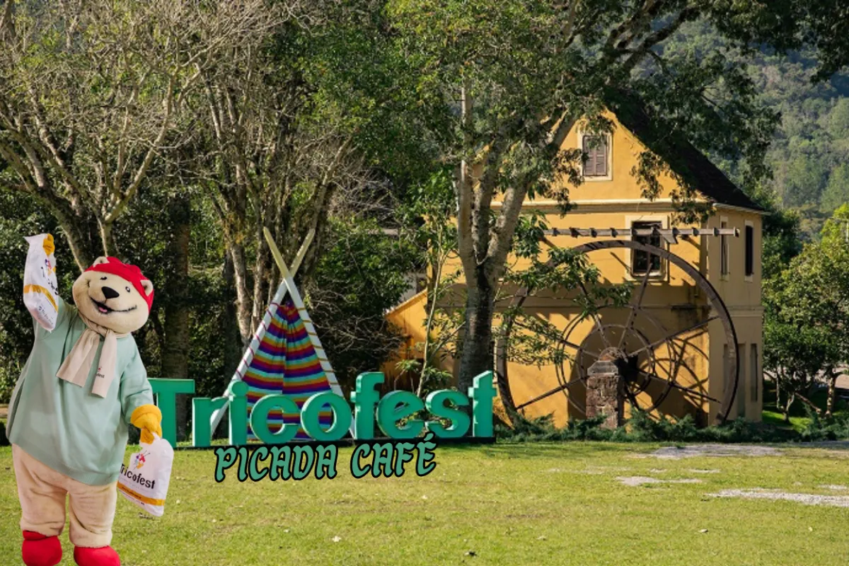 Rua histórica com guia explicando arquitetura a pequeno grupo, roteiro cultural Home Turismo.