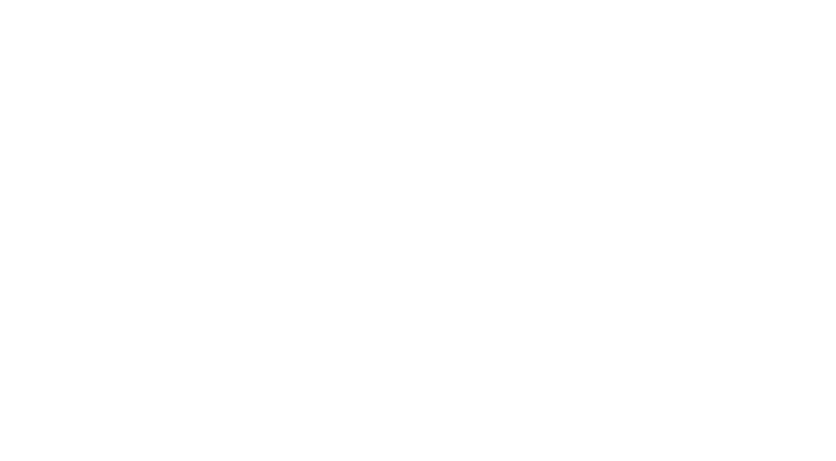 Susie Moon Consulting