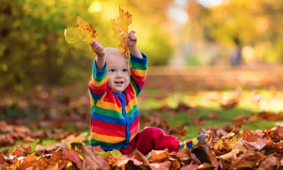 Pause to see Fall through the Eyes of a Child