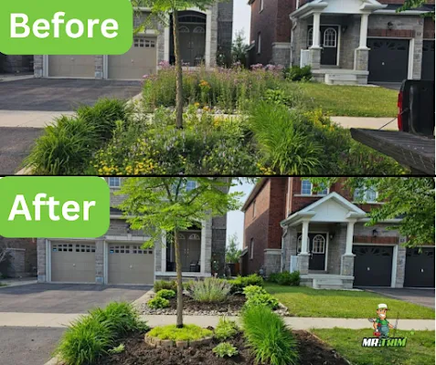 landscaping services