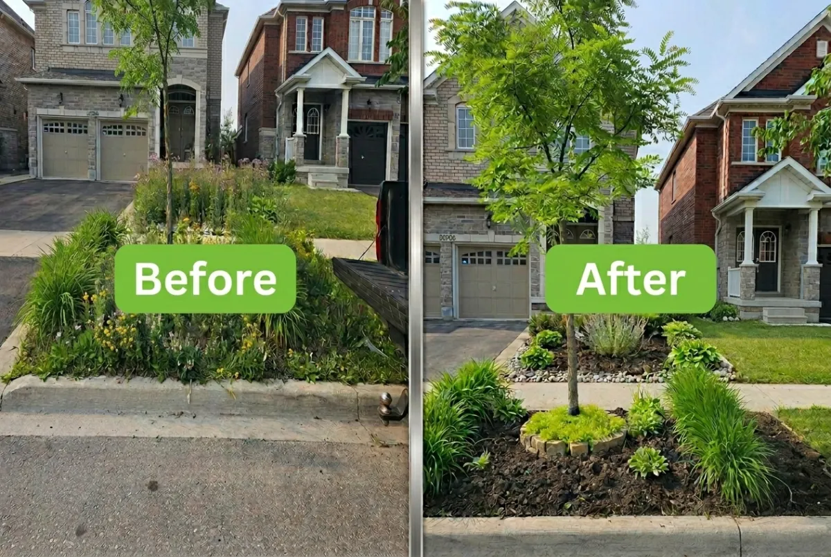 Creative Garden Landscape Design Ideas for Every Home