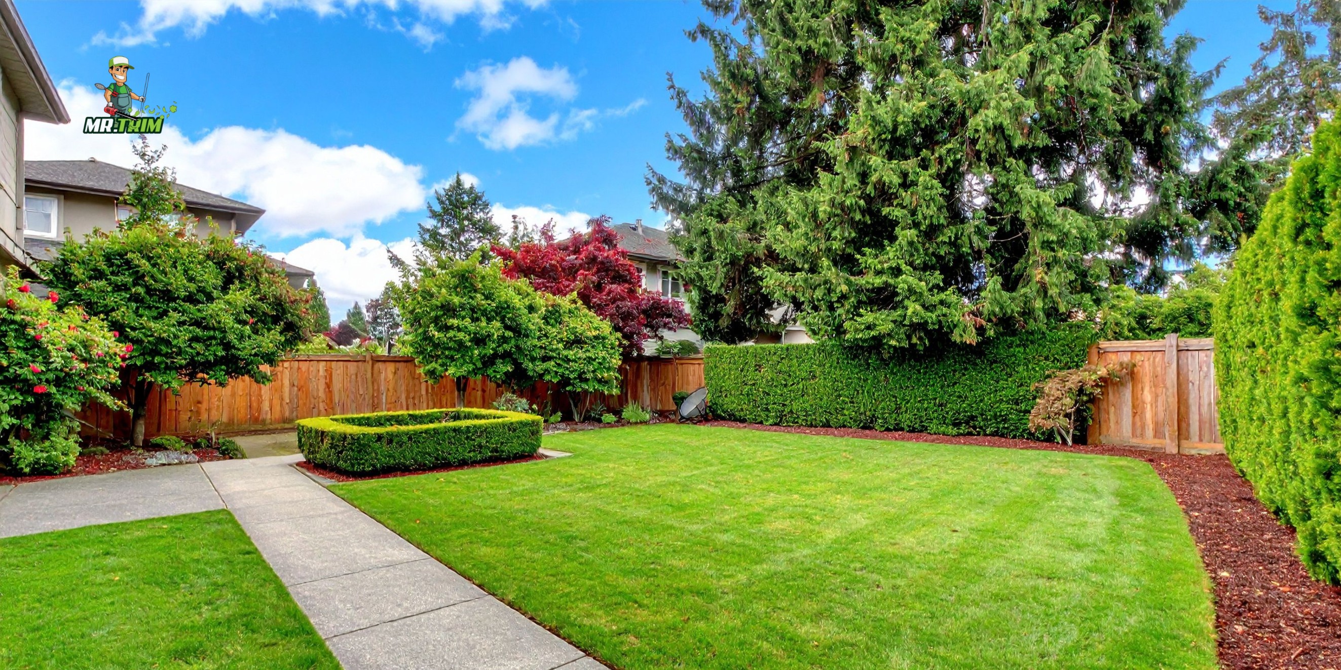 Essential Hedge Care Tips for Healthy Plants and Clean Yards