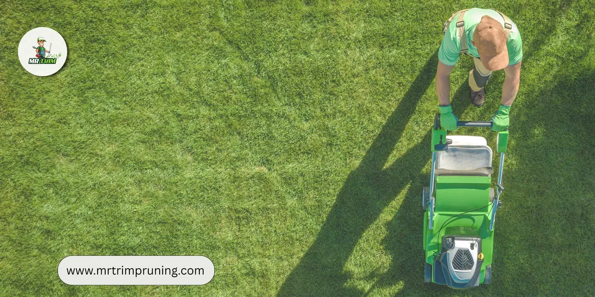 landscaping and lawn care