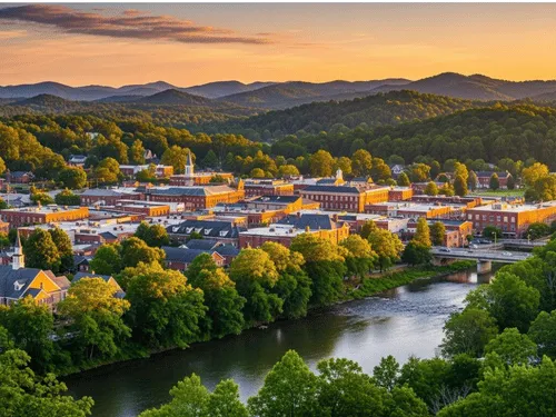 Easley Tree Felling & Removal