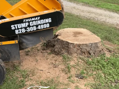 {{ custom_values.service_1 }} in {{custom_values.biz_area_1})