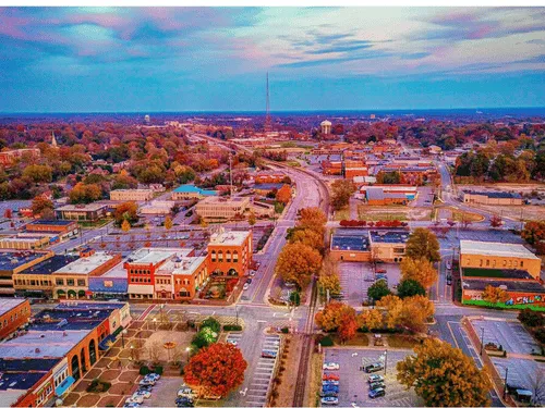Greenville Tree Felling & Removal