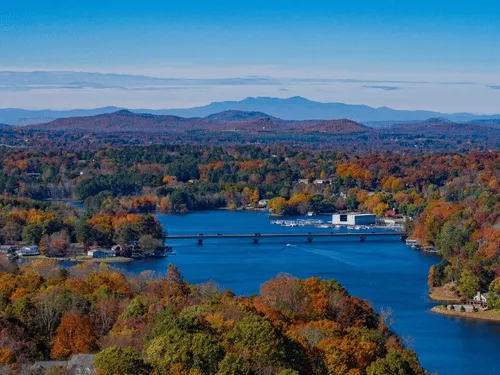 Greenville Stump Removal