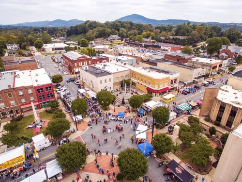 Greer Tree Felling & Removal