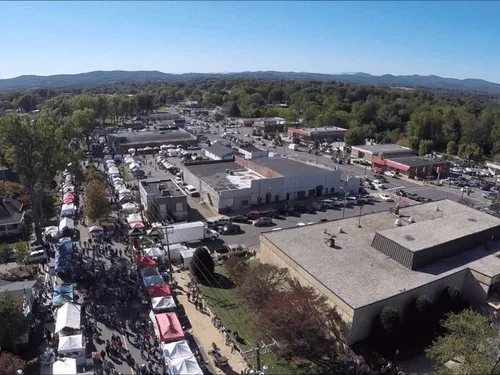 Anderson Tree Felling & Removal