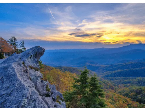 Piedmont Tree Felling & Removal