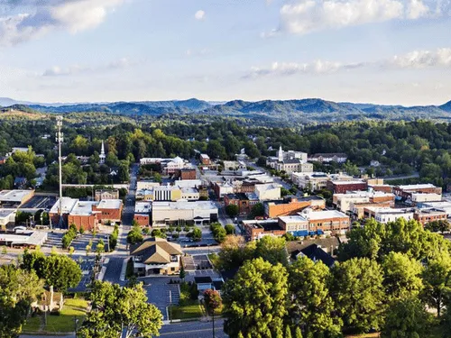 Taylors Tree Felling & Removal