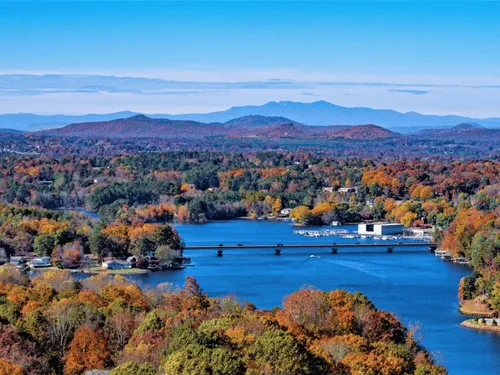 Charlotte Tree Felling & Removal