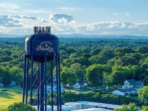  Tree Felling & Removal