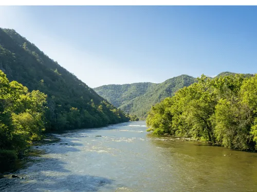 Anderson Stump Removal