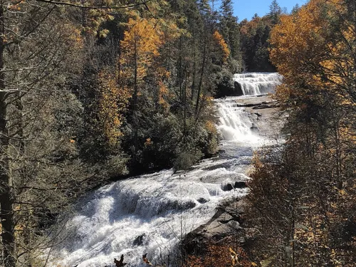 Easley Stump Removal