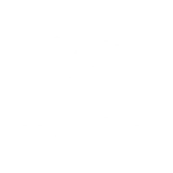 aav digital Brand Logo