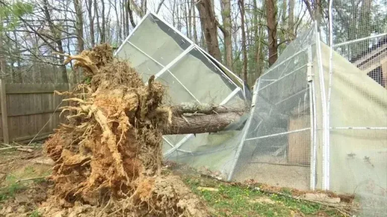 broken metal fence in valdosta