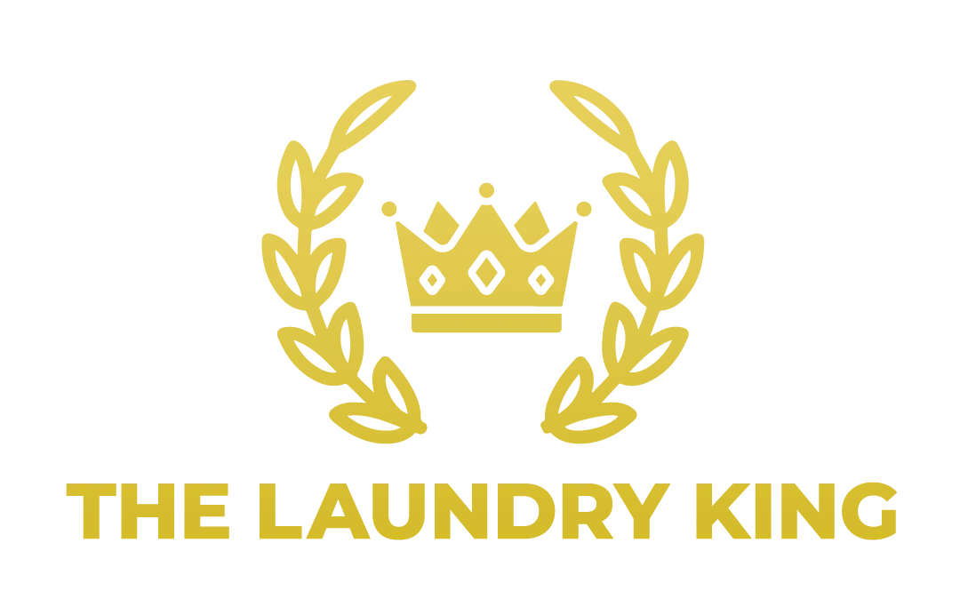 the laundry king startup guide