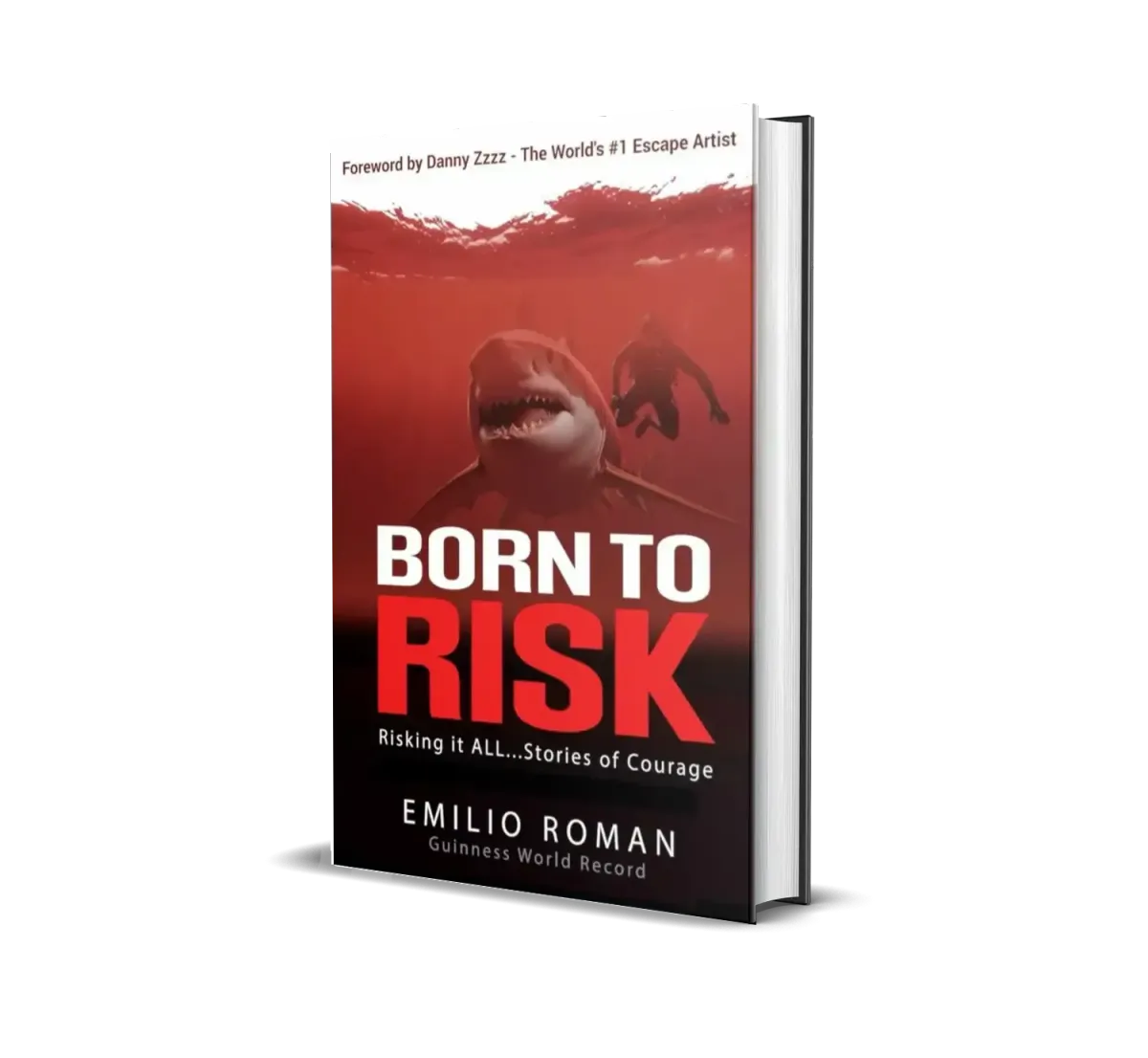 Born to Risk Book