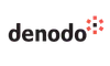 Denodo enterprise data platform partner.