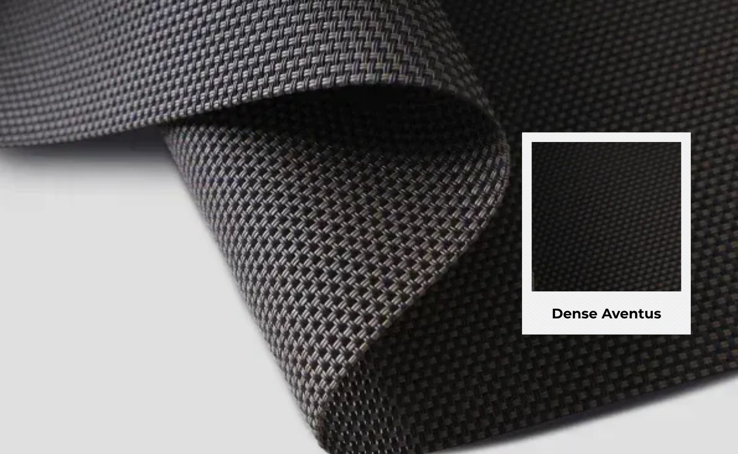 dense aventus