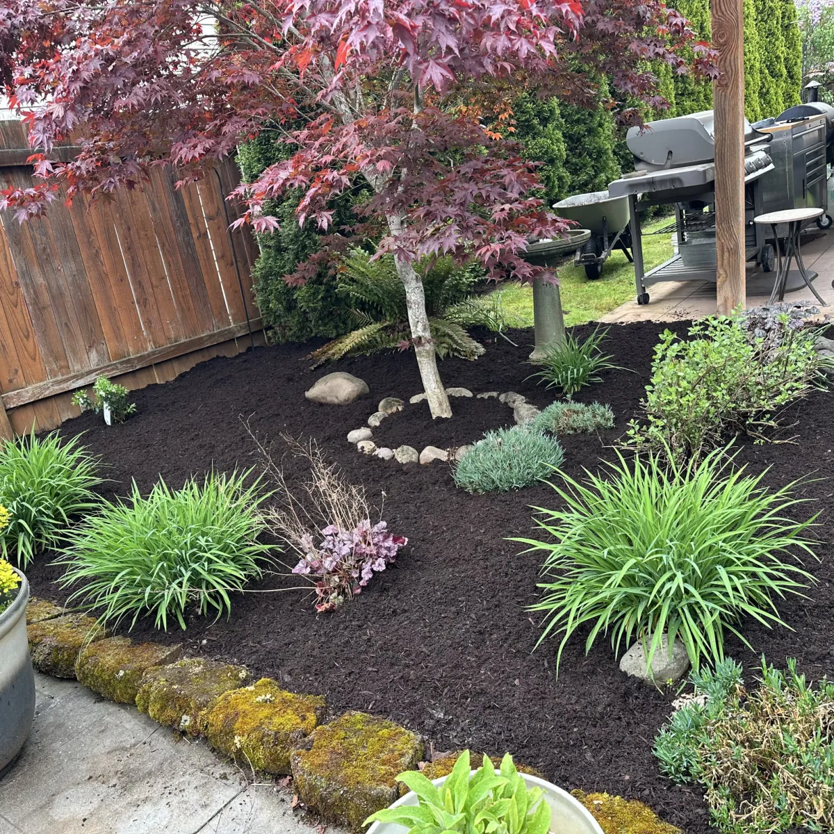 Landscape Contractor in Ventura County