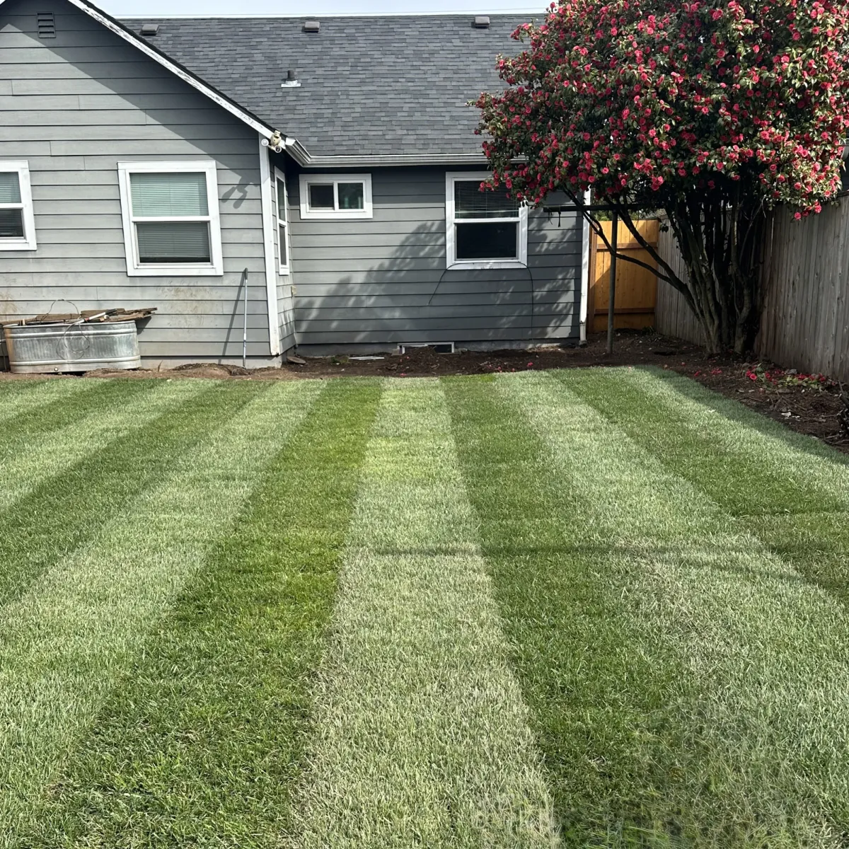 Fencing Contractor in Ventura County