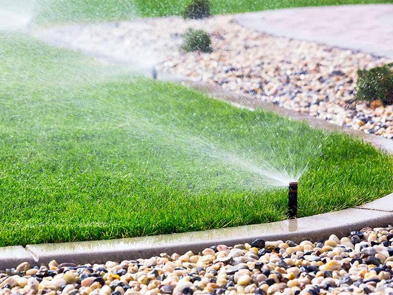 Landscape Contractor In Ventura County