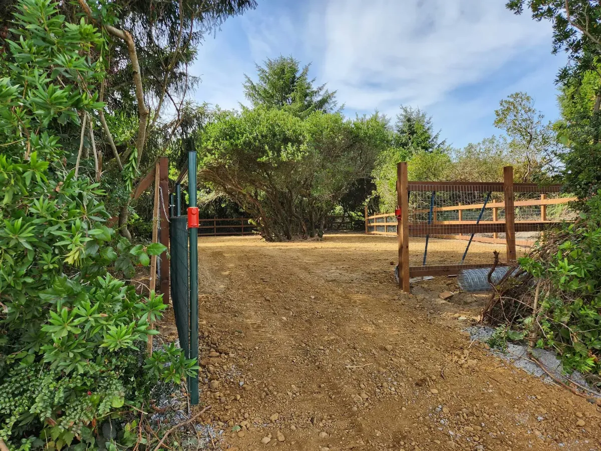 Concrete Contractor in Ventura County