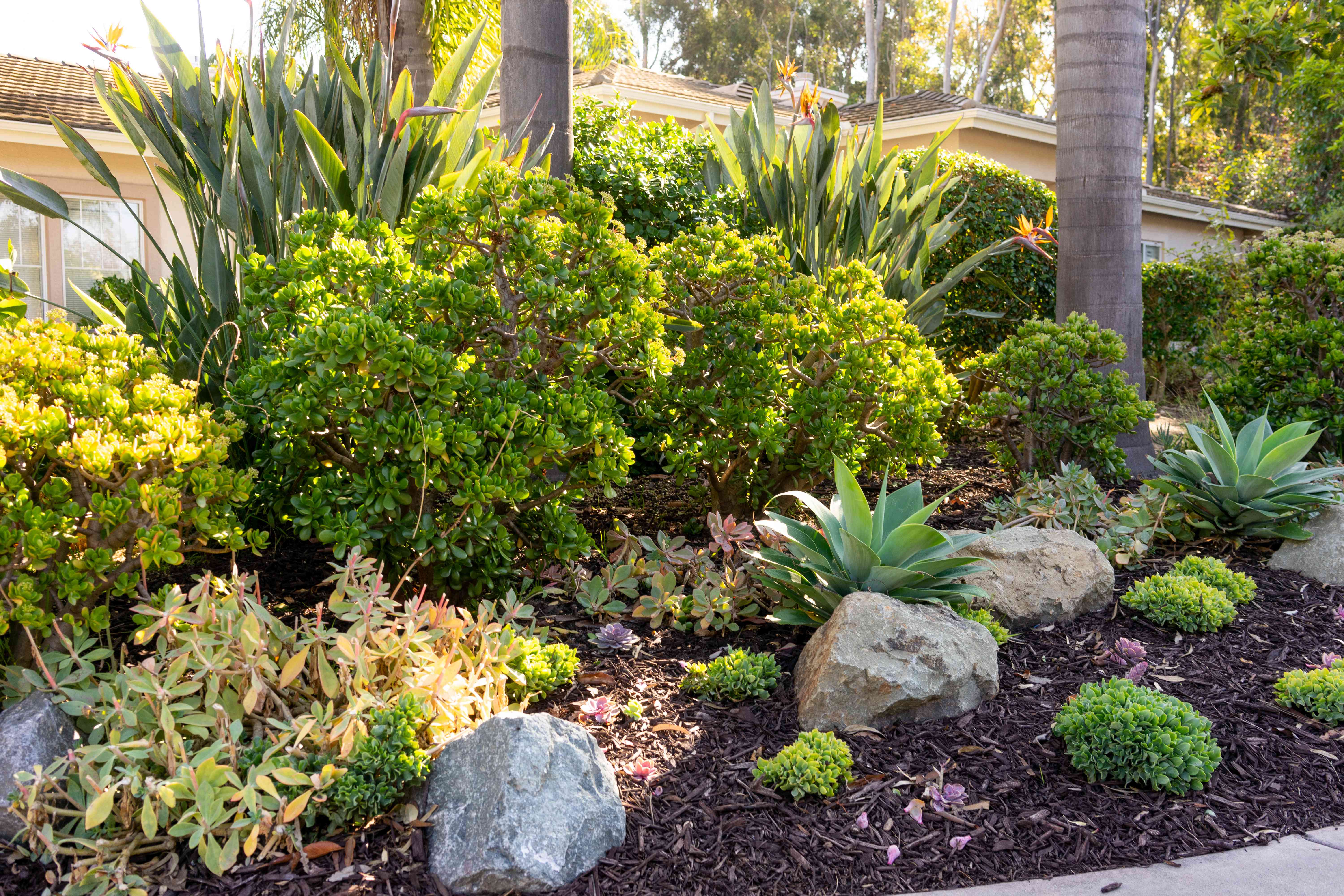 Concrete Contractor in Ventura County