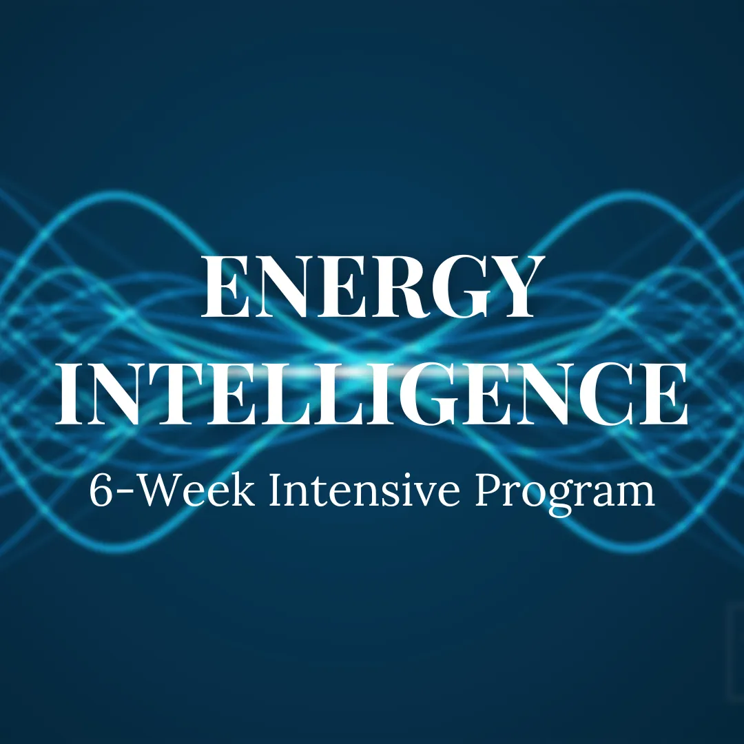 Energy Intelligence