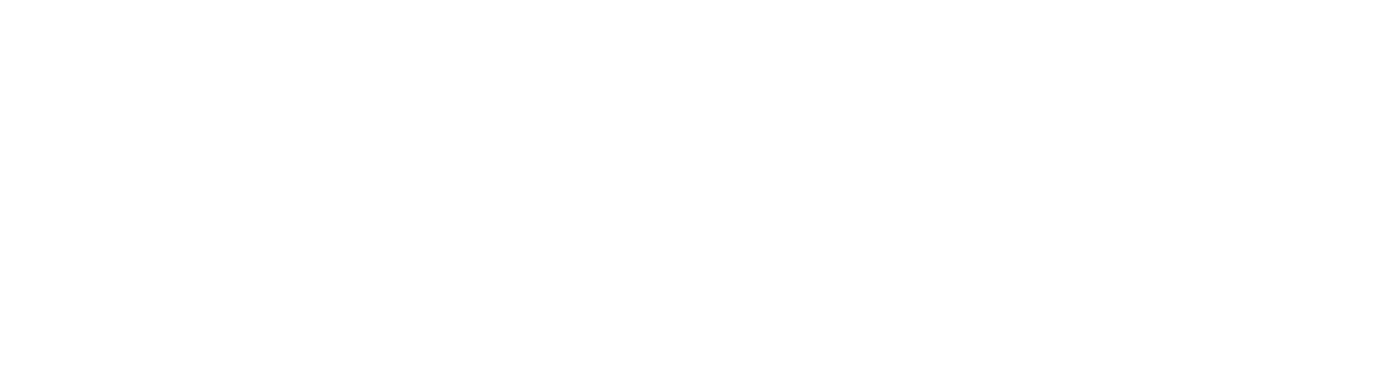 Fechter Business Services 