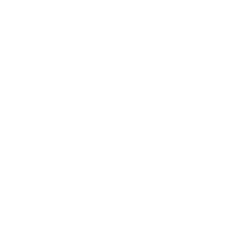Results Report