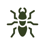 Termite Control image