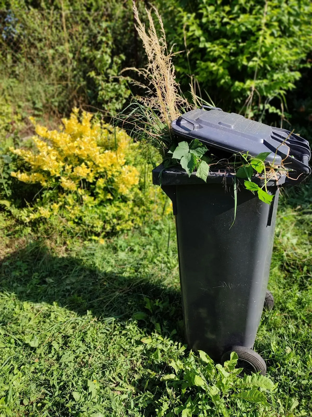 Green Waste
