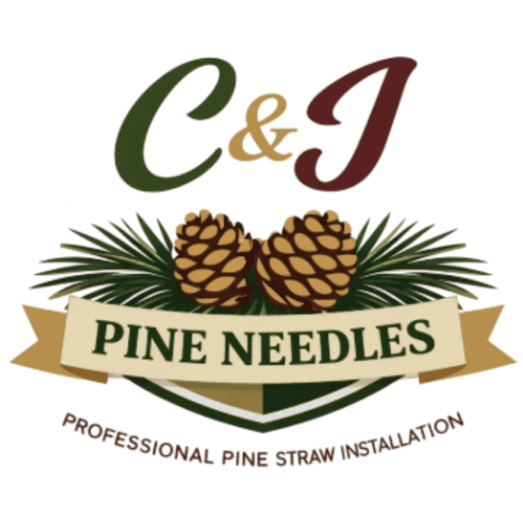 C&J Pine Needles Logo