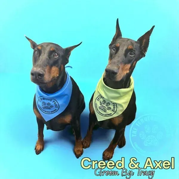 Rottweiler's Creed and Axel