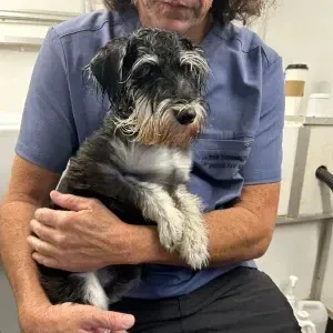 Our emotional support human comforting a dog so he feels comfortable