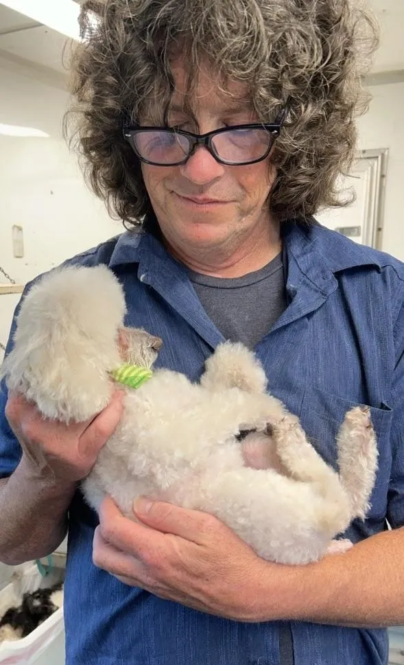 Emotional Support Human; Jamie comforting a dog