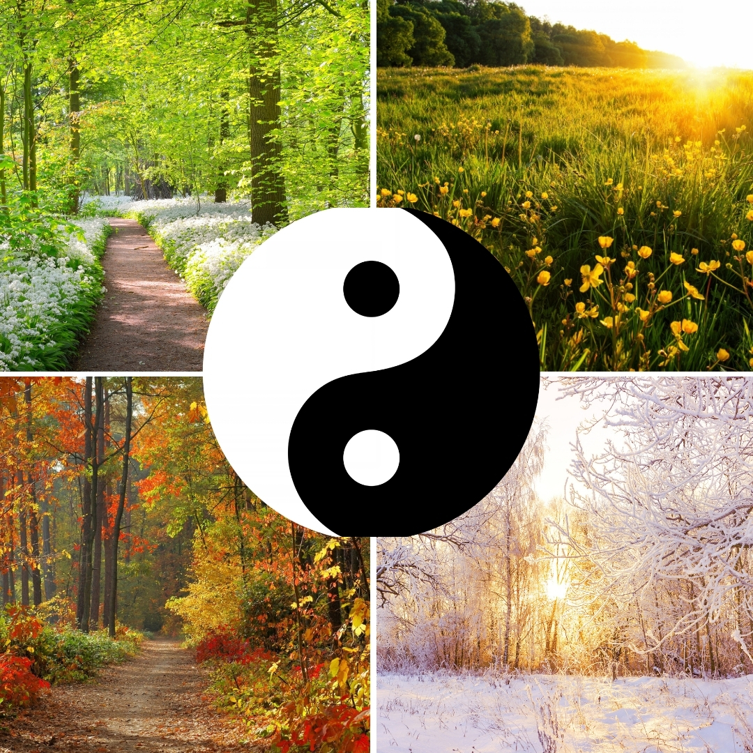 seasons with yin and yang