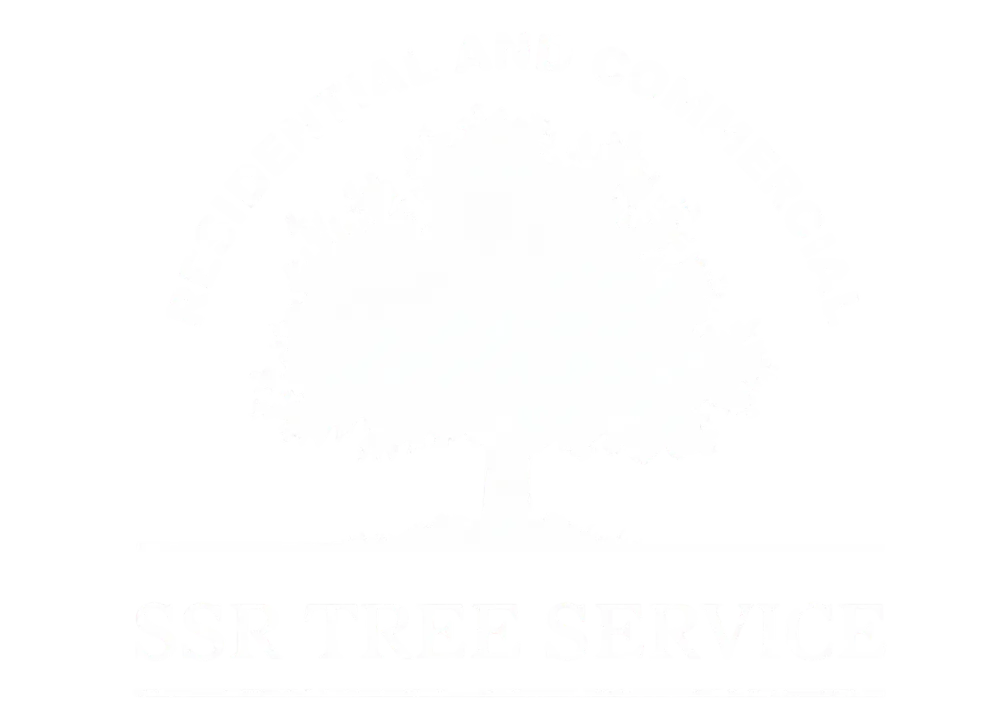 SSR Tree Service Bay Area