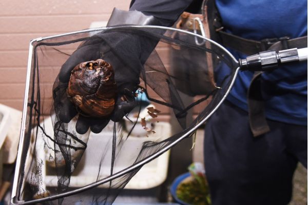 Property & Rental Management Programs in 