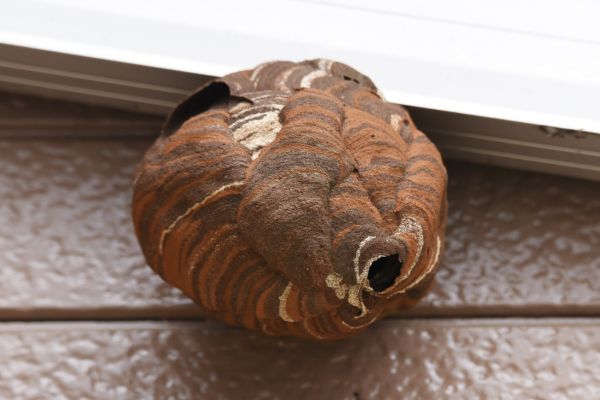 Property & Rental Management Programs in 