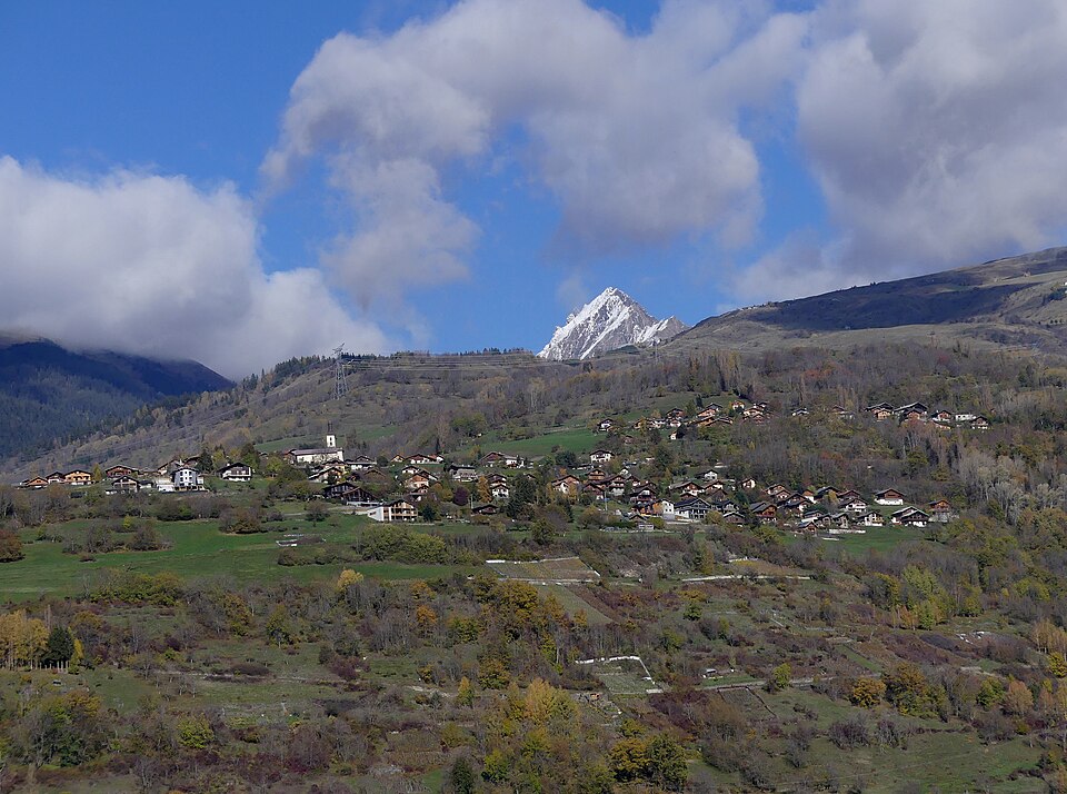 Tarentaise Ramonage nuisibles - Nuisibles ramonage - La Côte-d'Aime