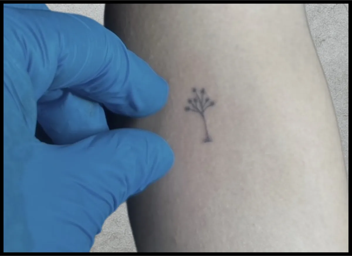 Micro realism Desert tree