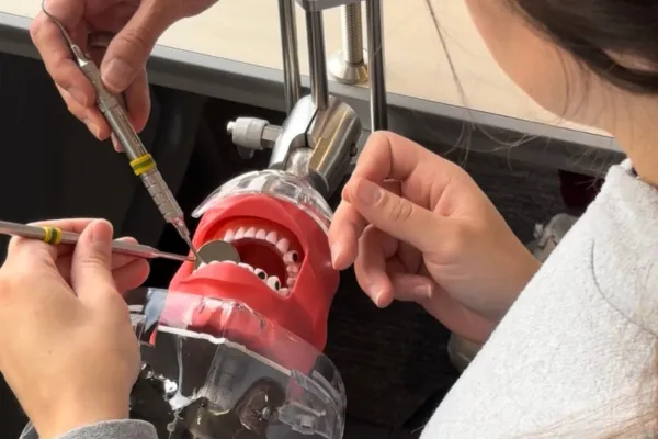 Dental School vs. Dental Assistant Programs: Which Path Is Right for You?