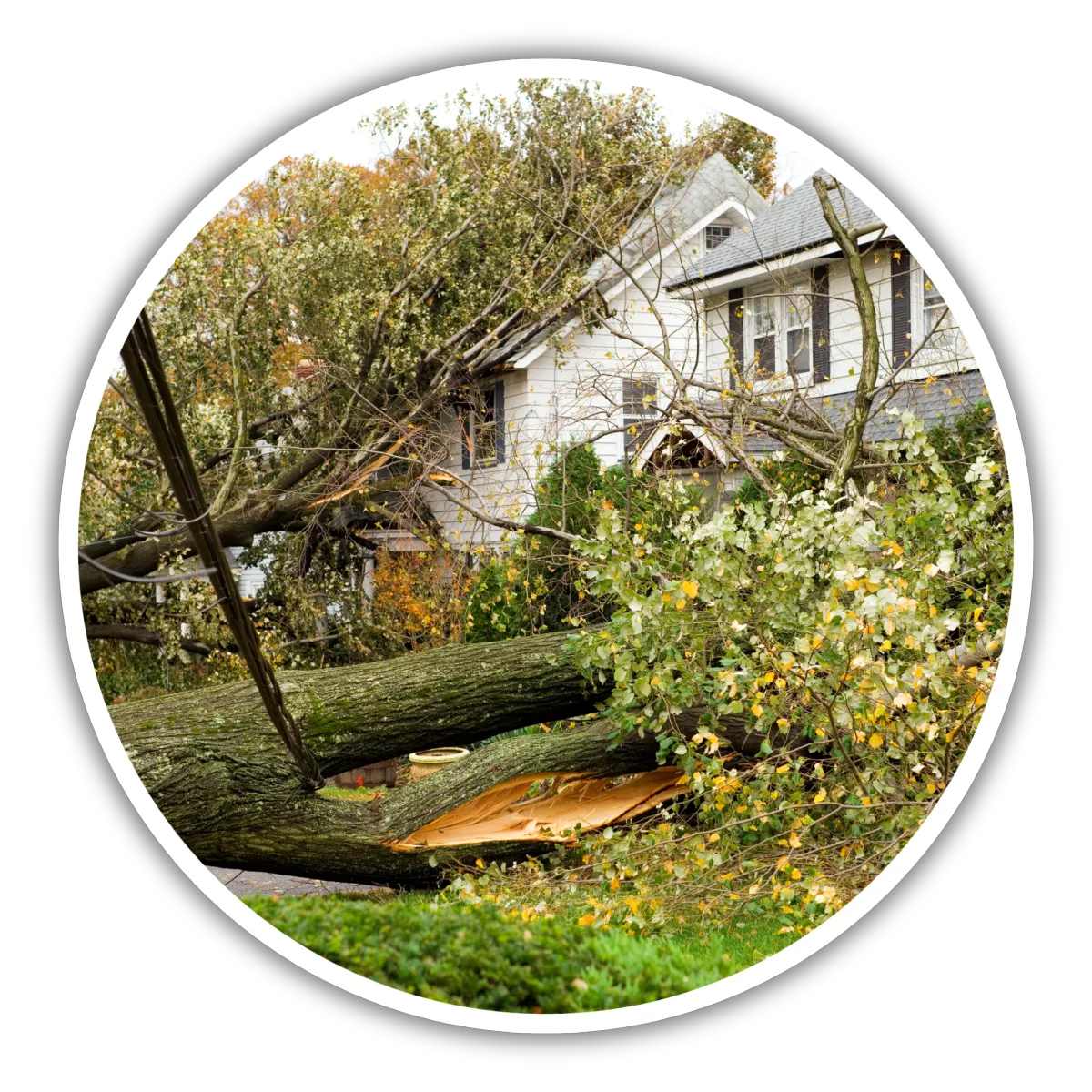 Storm/Hurricane