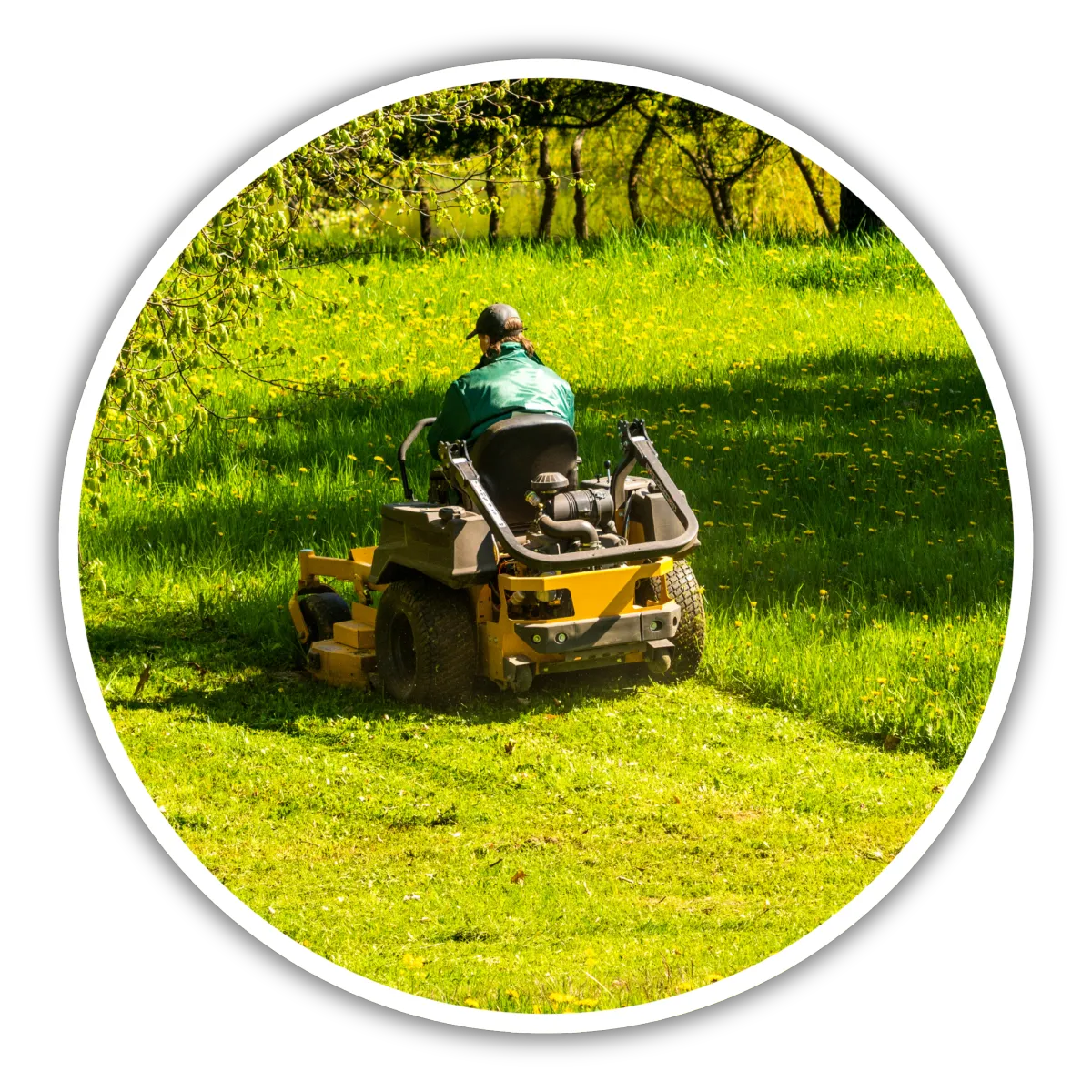 Lawn Care