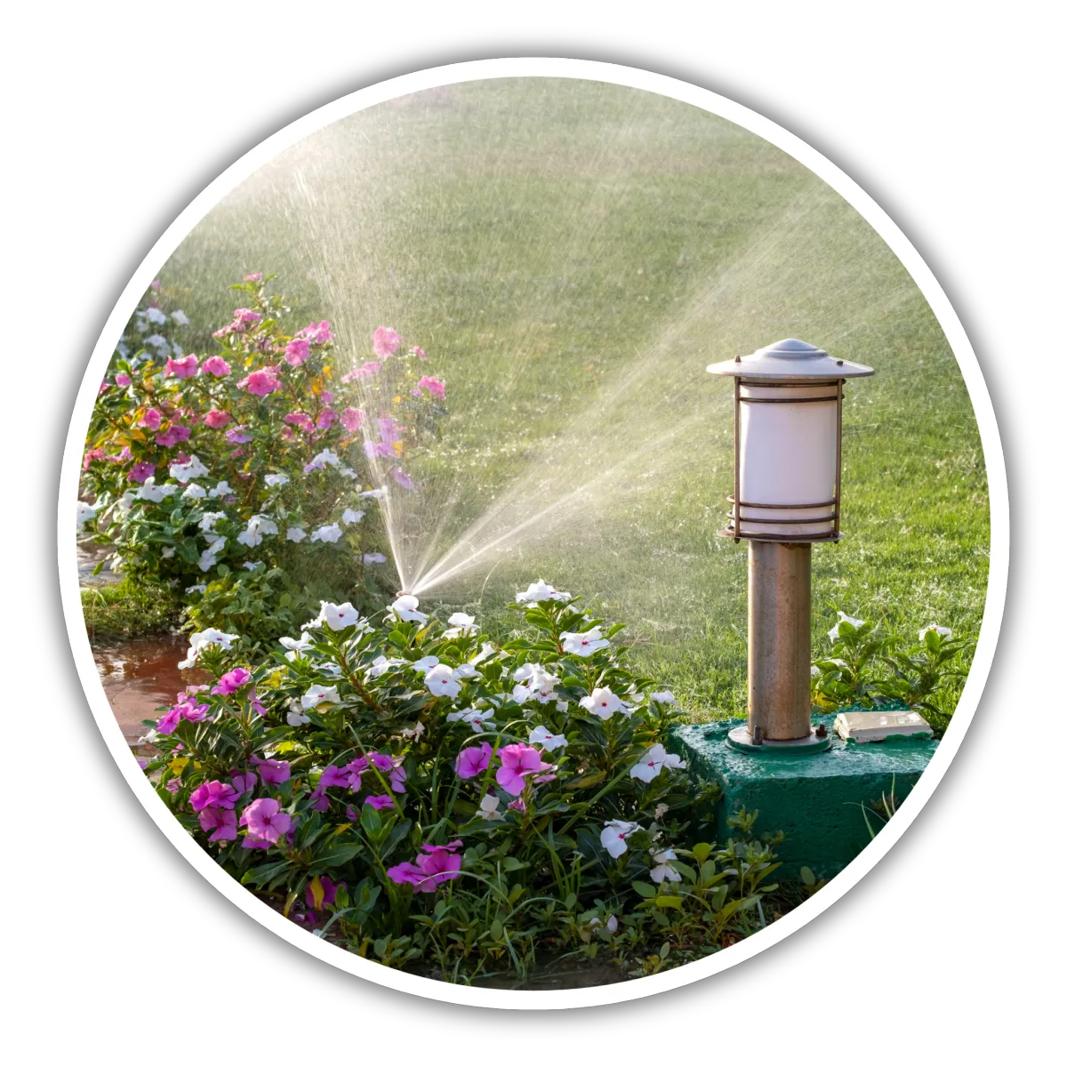 Irrigation & Water Management