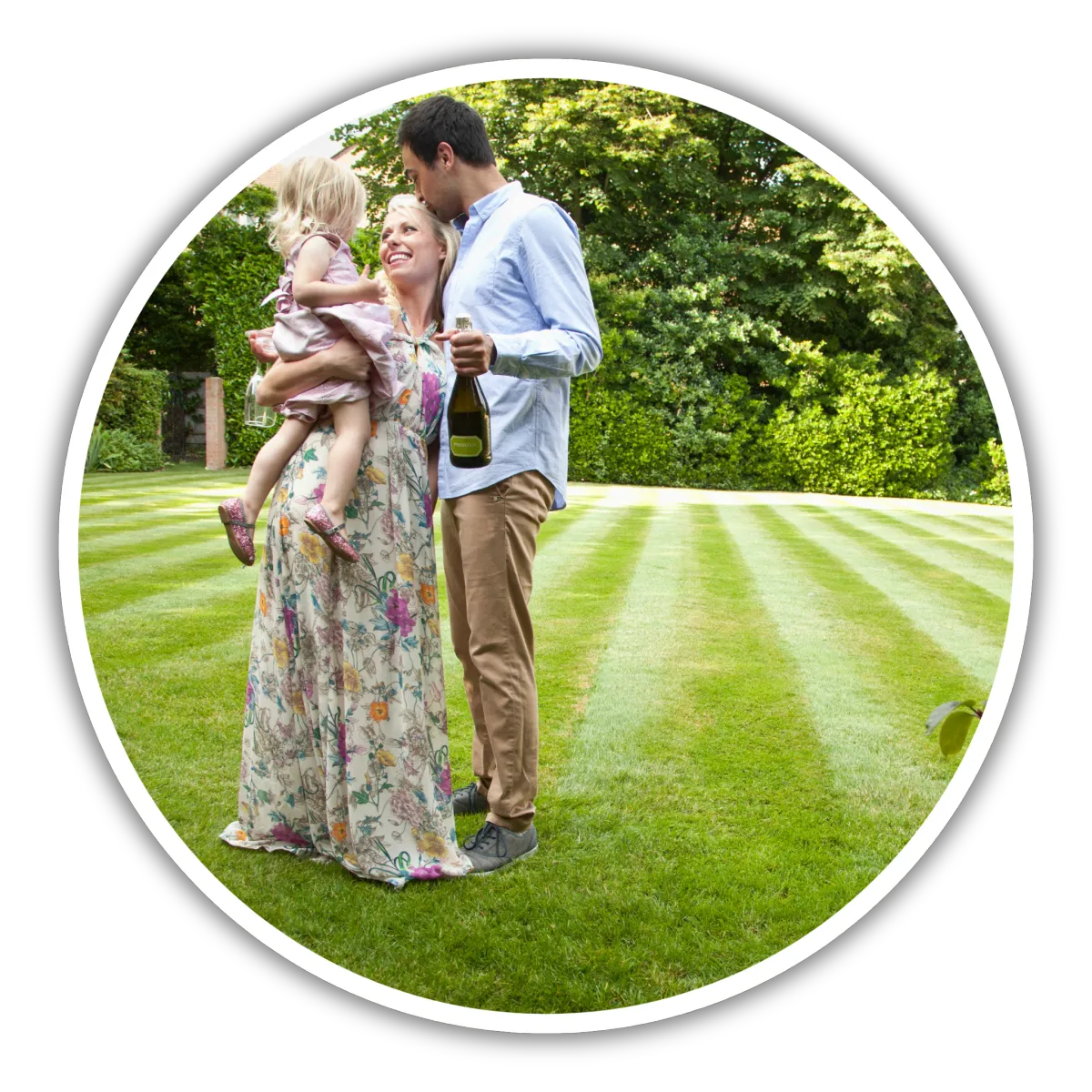Healthy Lawns